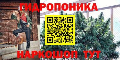 эйфоретик Тара