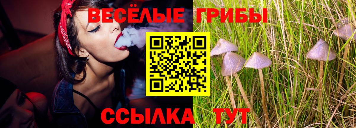 Новошахтинск  Галлюциногенные грибы MAGIC MUSHROOMS  Вход с VPN 